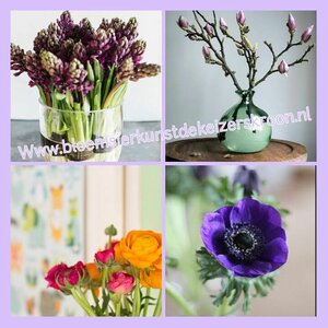 BLOEMISTERIJ DE KEIZERSKROON image 3