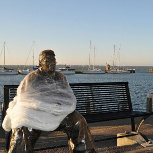 Ongediertebestrijding Volendam Wespvrij image 3