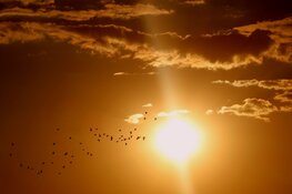 'Vakantieplezier-rooster’ 6-18 jaar