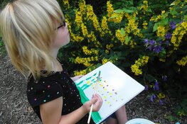 Workshop Schilderen in de natuur