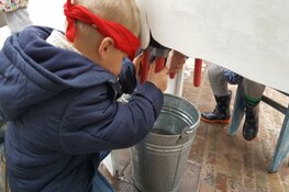 Activiteiten in herfstvakantie bij Hertenkamp Enkhuizen