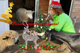 Beestachtige Kerst in de stal