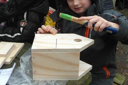 Workshop: Vogelhuisje timmeren