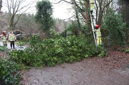Storm geluwd, tot jaarwisseling grijs met lichte regen