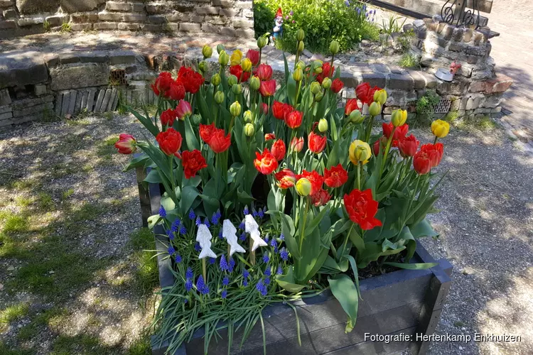 Fleurig ommetje