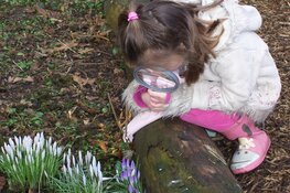 NME (natuur, wetenschap en techniek) in West-Friesland