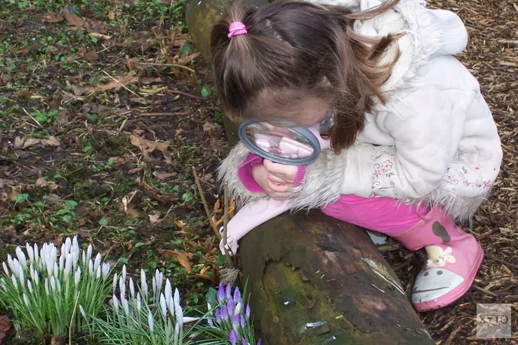 NME (natuur, wetenschap en techniek) in West-Friesland
