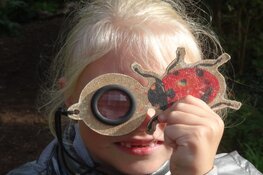 NME (natuur, wetenschap en techniek) in West-Friesland