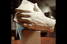 Feestelijke opening expositie