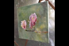 Feestelijke opening expositie