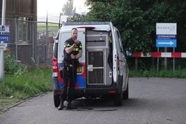 Auto&#39;s botsen bij Enkhuizen, getuige rijdt gevluchte betrokkene klem