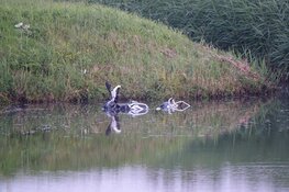 Motorrijder te water geraakt bij Venhuizen