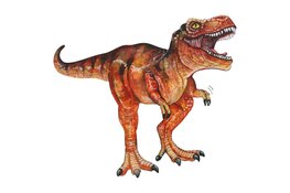 Dino’s in Hertenkamp Enkhuizen