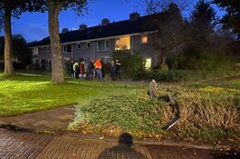 Auto in voortuin van woning Grootebroek