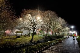 Flinke vlammenzee bij boerderijbrand in Wijdenes