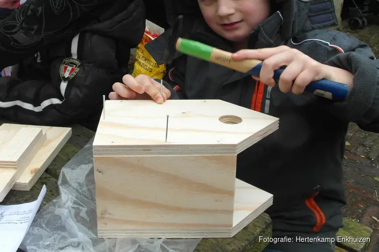 Workshop: vogelhuisje timmeren