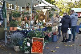 Lentefair op 10 april bij Hertenkamp Enkhuizen
