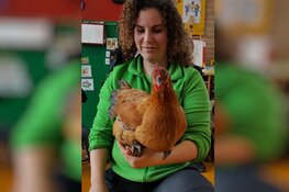 Kip! voor peuters en kleuters