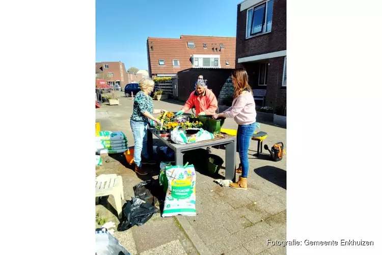 Oude Gouw-Gommerwijk in Enkhuizen fleurt op