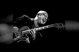 Gitaarfestival terug van weggeweest! - Meer dan tweehonderd gitaristen op vijftien verschillende locaties