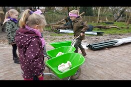 Herfstvakantie vol activiteiten bij Hertenkamp Enkhuizen