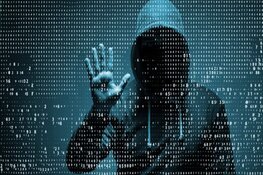 Impact en schade cybercrime onverminderd groot