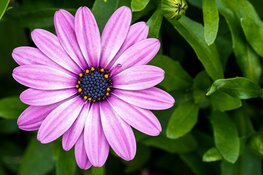 Een 'Fijn moment voor jou' in Stede Broec