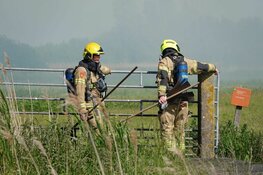 Rietbrand in Lutjebroek