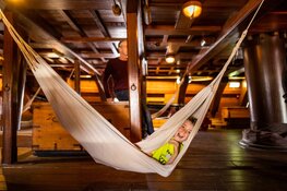 Vier de zomervakantie bij het Museum van het Jaar!