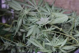 Vermoedelijk hennepplantage aangetroffen in pand Enkhuizen