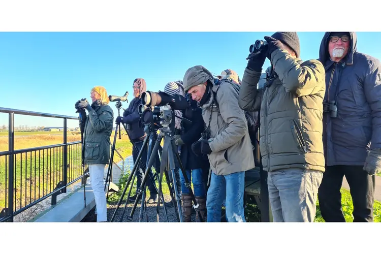 Vogelcursus bij Hertenkamp Enkhuizen