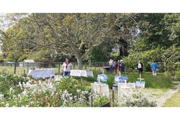 Hobby en Kunstroute in Enkhuizen