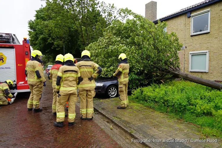 Boom omgewaaid op auto in Bovenkarspel