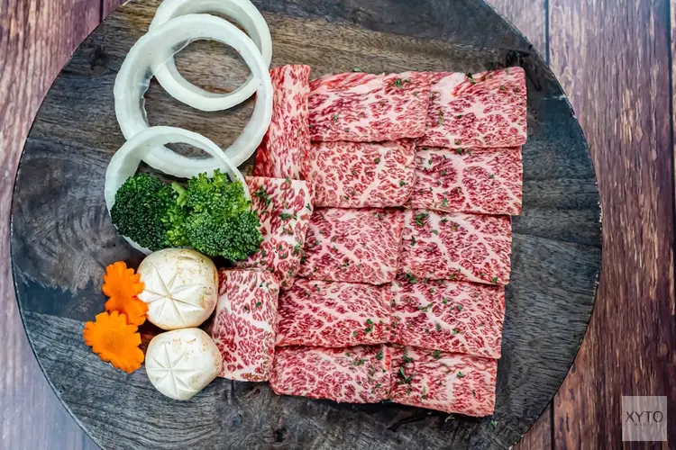 Wagyu kopen – Waar let je op bij de aanschaf van dit luxe vlees?