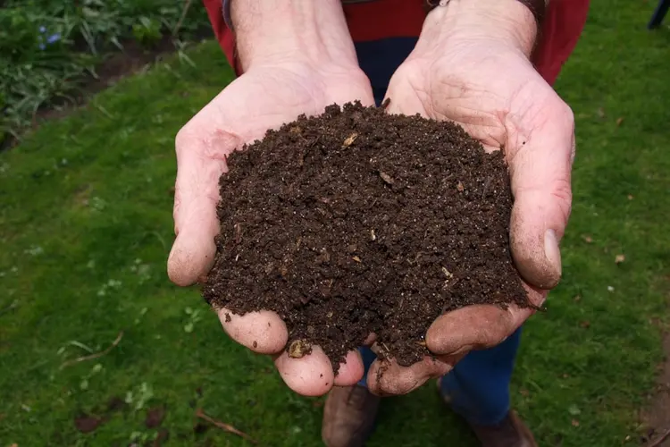 Compostdag: gratis compost voor inwoners