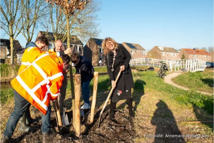 Twee nieuwe bomen van de Rotaryclub