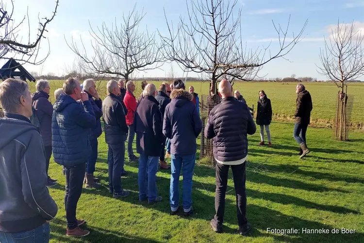 Snoeiles op zaterdag 5 april bij het Rundveemuseum in Aartswoud