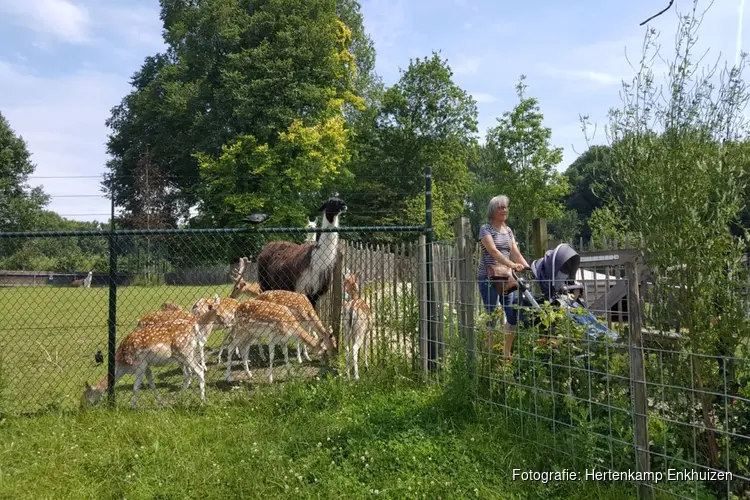 VakantieDoeDingen bij Hertenkamp Enkhuizen