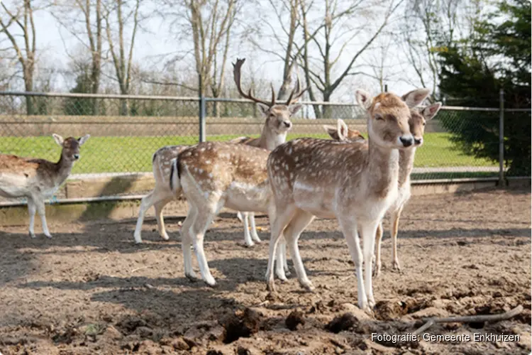 Toekomst voor Hertenkamp