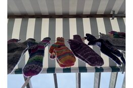 Midzomeravondmarkt bij Hertenkamp Enkhuizen