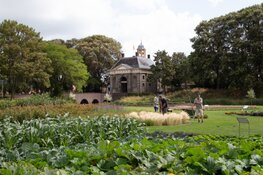 Interactieve themadag in de Garden op 12 juli