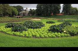 Interactieve themadag in de Garden op 12 juli