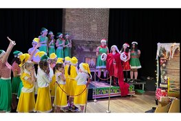 Musical maandag in de Drom Theater Academie Enkhuizen breidt uit