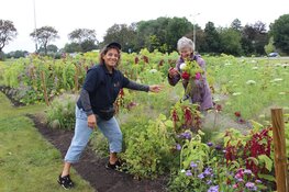 Pluk je eigen boeket in de Garden op zaterdag 16 augustus