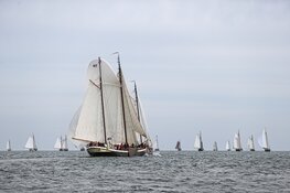 Vier de 50ste Enkhuizer Klipperrace: Een jubileum vol zeilen en feest!