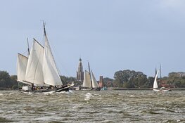 Vier de 50ste Enkhuizer Klipperrace: Een jubileum vol zeilen en feest!