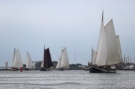 Vier de 50ste Enkhuizer Klipperrace: Een jubileum vol zeilen en feest!
