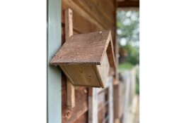 Activiteiten herfstvakantie 2025 bij ’t Hertenkamp in Enkhuizen