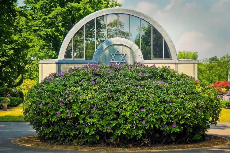 Joodse begraafplaats Enkhuizen wordt beschermd gemeentelijk monument