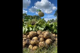 Oefentuinen bij de Schooltuinen